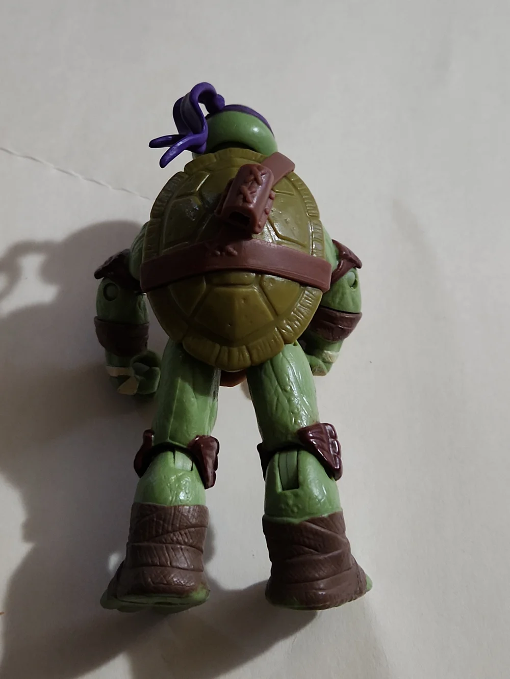Source Unknown turtle shell